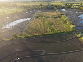  Terreno (Parcela) en venta en Maule, Longavi, Linares, Maule