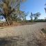  Terreno (Parcela) en venta en Maule, Longavi, Linares, Maule