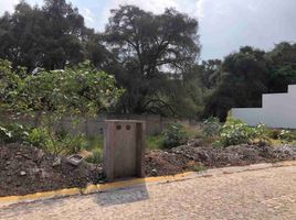  Grundstück zu verkaufen in Temixco, Morelos, Temixco