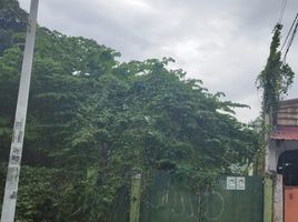 토지을(를) FazWaz.co.kr에서 판매합니다., Quezon City, 동부 지역, 메트로 마닐라, 필리핀 제도