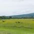  Land for sale in Cuitzeo, Michoacan, Cuitzeo