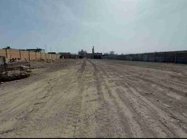  Land for sale in Lurin, Lima, Lurin, Lima, Lima