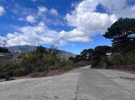  Land for sale in Baguio City, Benguet, Baguio City