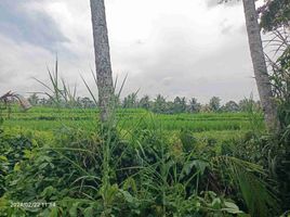  Grundstück zu verkaufen in Gianyar, Bali, Tegallalang