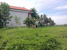  Grundstück zu verkaufen in Gianyar, Bali, Tegallalang