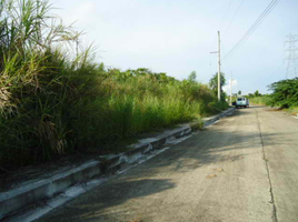 Terrain à vendre à Talisay City, Central Visayas, Talisay City
