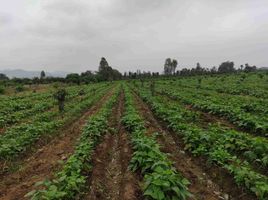  Grundstück zu verkaufen in Huaral, Lima, Huaral, Huaral