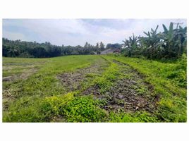  Land for sale in Kerambitan, Tabanan, Kerambitan