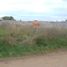  Land for sale in Olavarria, Buenos Aires, Olavarria