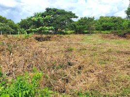  Land for sale in Tanza, Cavite, Tanza