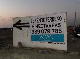  Terreno (Parcela) en venta en Chincha, Ica, El Carmen, Chincha