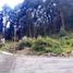  Land for sale in Tungurahua, Ambato, Ambato, Tungurahua