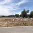  Land for sale in Zempoala, Hidalgo, Zempoala