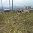  Land for sale in Nono, Quito, Nono