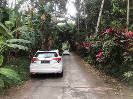  Land for sale in Gianyar, Bali, Tegallalang, Gianyar