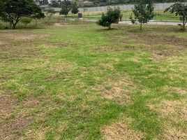  Grundstück zu verkaufen in Quito, Pichincha, Tumbaco