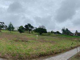  Land for sale in Tumbaco, Quito, Tumbaco