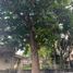  Terreno (Parcela) en venta en Paranaque City, Metro Manila, Paranaque City, Southern District, Metro Manila