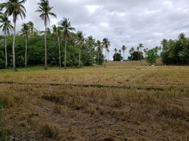  Grundstück zu verkaufen in Oriental Mindoro, Mimaropa, Bansud