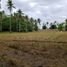  Land for sale in Bansud, Oriental Mindoro, Bansud