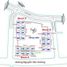 Apartamento en alquiler en Thao Dien, Ho Chi Minh City, Thao Dien