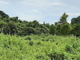  Land for sale in Aborlan, Palawan, Aborlan