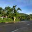  Land for sale in El Nido, Palawan, El Nido