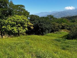  Terreno (Parcela) en venta en San Jeronimo, Antioquia, San Jeronimo