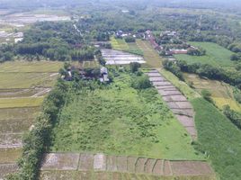  Land for sale in Jawa Tengah, Tasikmadu, Karanganyar, Jawa Tengah