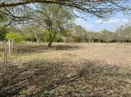  Terreno (Parcela) en venta en Sabanalarga, Atlantico, Sabanalarga