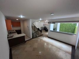 3 Schlafzimmer Wohnung zu vermieten in Miguel Hidalgo, Mexico City, Miguel Hidalgo, Mexico City