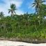  Land for sale in Poro, Cebu, Poro