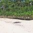  Land for sale in Cebu Central Visayas, Poro