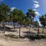  Land for sale in Felipe Carrillo Puerto, Quintana Roo, Felipe Carrillo Puerto