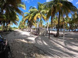  Land for sale in Felipe Carrillo Puerto, Quintana Roo, Felipe Carrillo Puerto