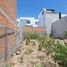  Grundstück zu verkaufen in Mexquitic De Carmona, San Luis Potosi, Mexquitic De Carmona, San Luis Potosi
