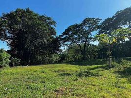  Land for sale in Calamba City, Laguna, Calamba City