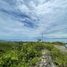  Land for sale in Cebu Central Visayas, Sibonga