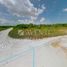  Terreno (Parcela) en venta en Lazaro Cardenas, Quintana Roo, Lazaro Cardenas