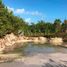  Terreno (Parcela) en venta en Lazaro Cardenas, Quintana Roo, Lazaro Cardenas