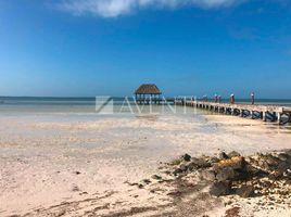  Terreno (Parcela) en venta en Lazaro Cardenas, Quintana Roo, Lazaro Cardenas