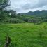  Land for sale in Vilcabamba Victoria, Loja, Vilcabamba Victoria, Loja, Loja