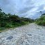  Land for sale in Vilcabamba Victoria, Loja, Vilcabamba Victoria, Loja, Loja
