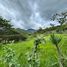  Land for sale in Vilcabamba Victoria, Loja, Vilcabamba Victoria, Loja, Loja
