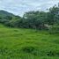  Land for sale in Vilcabamba Victoria, Loja, Vilcabamba Victoria, Loja, Loja