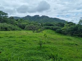  Land for sale in Vilcabamba Victoria, Loja, Vilcabamba Victoria, Loja, Loja