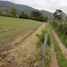  Land for sale in Cajica, Cundinamarca, Cajica