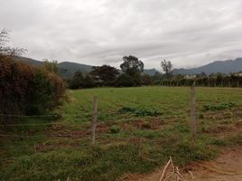  Land for sale in Cajica, Cundinamarca, Cajica