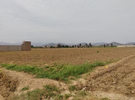  Terreno (Parcela) en venta en Huaral, Lima, Huaral, Huaral