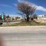  Terreno (Parcela) en alquiler en Aguascalientes, Aguascalientes, Aguascalientes